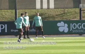 平博官网-2006年世界杯意大利vs澳大利亚