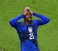 平博APP-欧预赛荷兰对德国视频